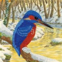 Crystal Card Kit Kingfisher Partial (18 x 18 cm)