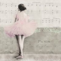 Parijse ballerina 3-laags papieren servetten pakje per 20 st