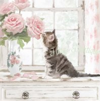 Crystal Art Kit Cat op houten frame (30×30cm) (Partial)