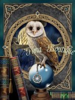 Giant Crystal Art Card Kit The Spell Keeper Owl Partial (29 × 21 cm)
