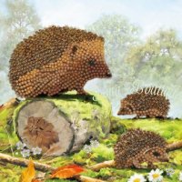 Crystal Card kit Painting Happy Hedgehogs Partial (18x18 cm)